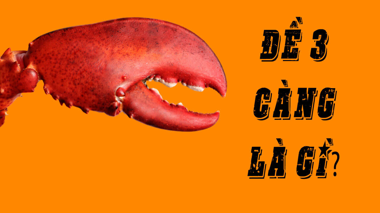 Đề 3 càng