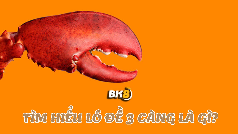 Lô đề 3 càng là gì?